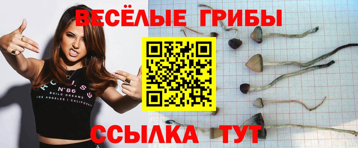 Псилоцибиновые грибы мицелий  Вход с VPN  Звенигород 