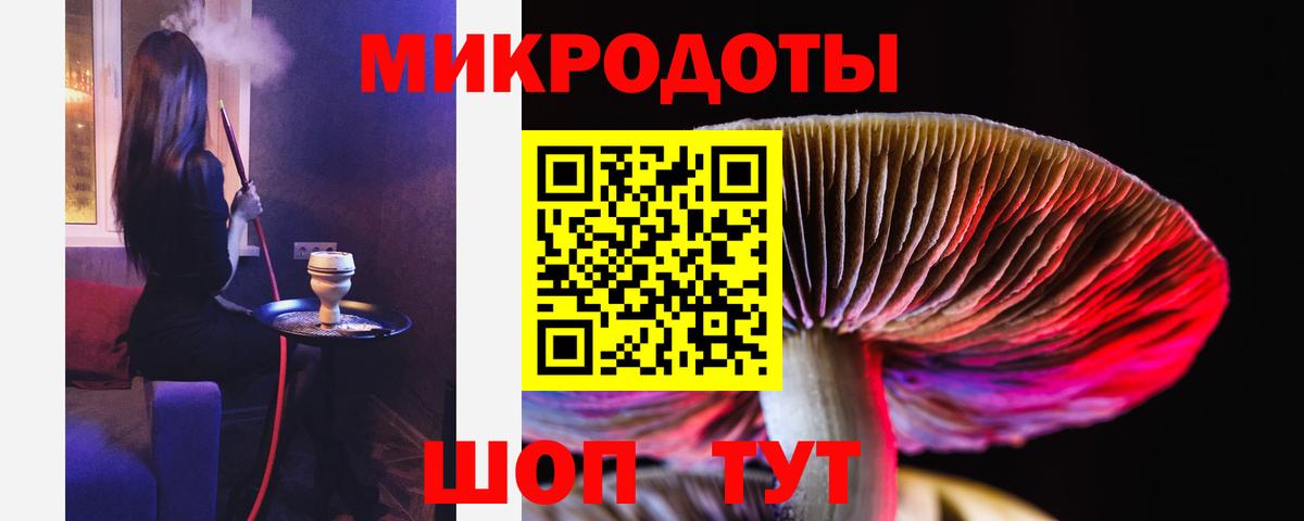 Галлюциногенные грибы Cubensis Звенигород